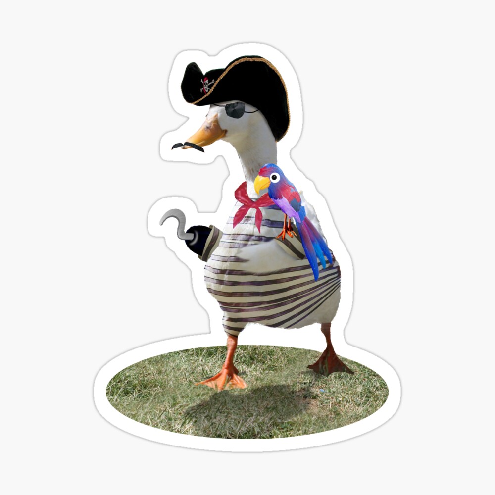 Pirate Captain Duck with Hook Hand Art Print for Sale by