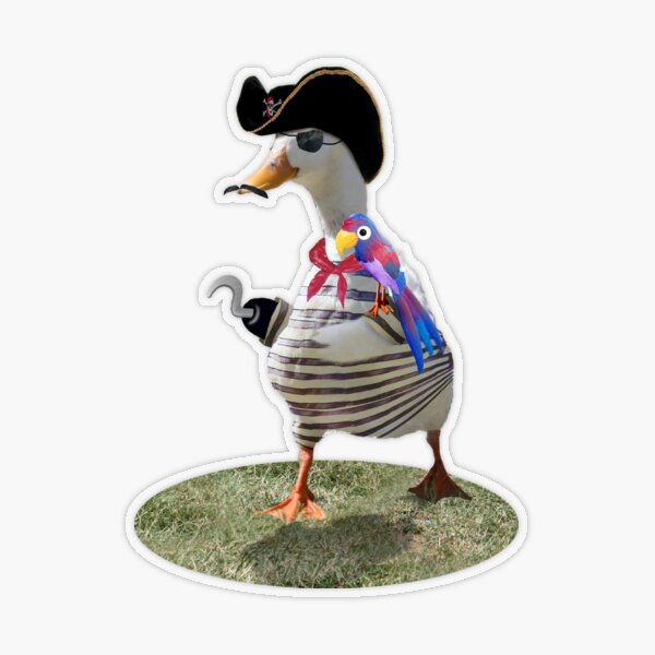 Pirate Captain Duck with Hook Hand Metal Print for Sale by Gravityx9