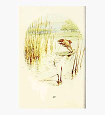 The Tale of Mister Jeremy Fisher Beatrix Botter 1906 0024 Polling the Boat Photographic Print