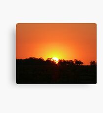 Day's End - Benerembah Canvas Print