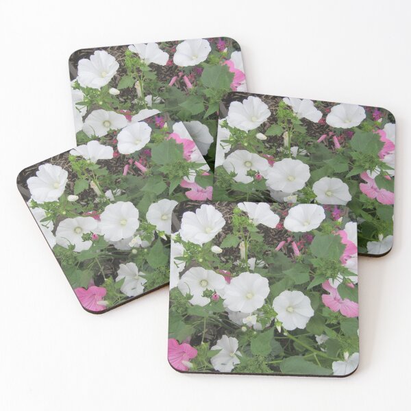 Item preview, White And Pink Lavatera designed and sold by lezvee.
