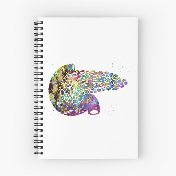 Item preview, Pancreas designed and sold by Liededrom..