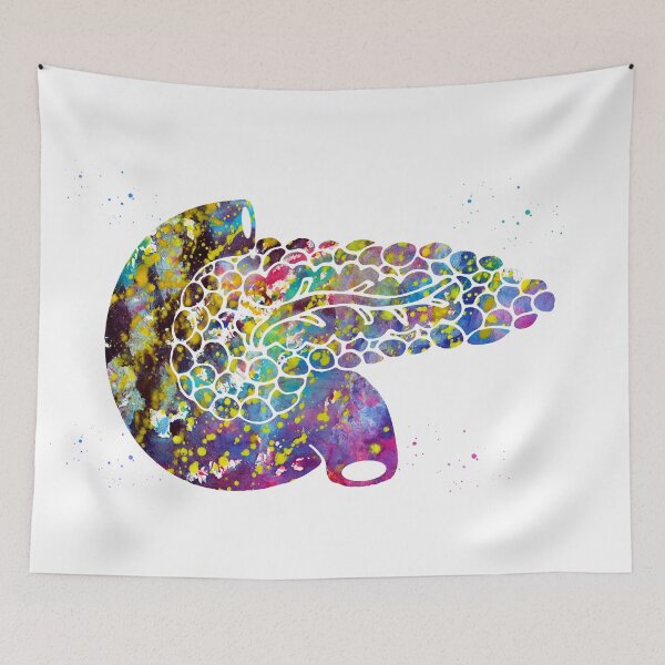 Item preview, Pancreas designed and sold by Liededrom..