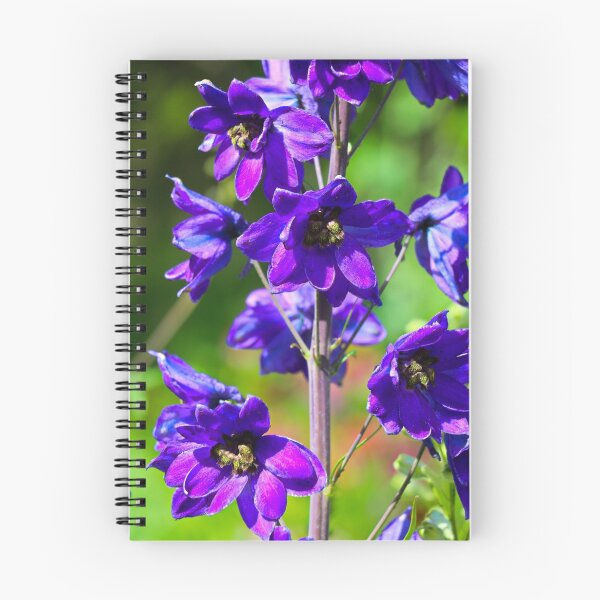 Item preview, Larkspur Flower designed and sold by ADM  Photography.