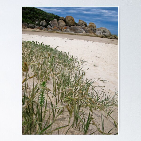 Item preview, dunescape designed and sold by Bruce  Dickson.