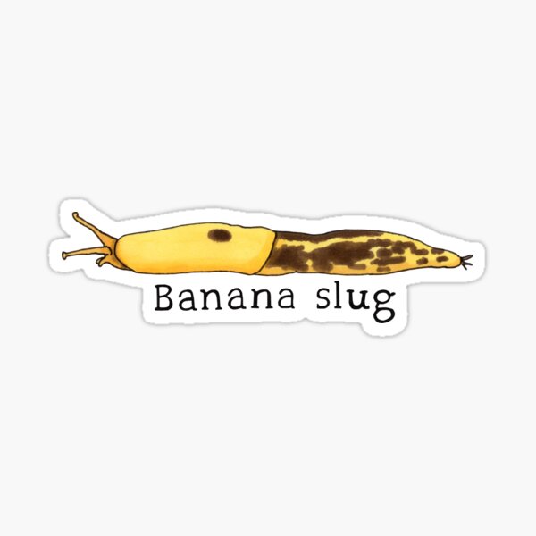 Banana slug Sticker