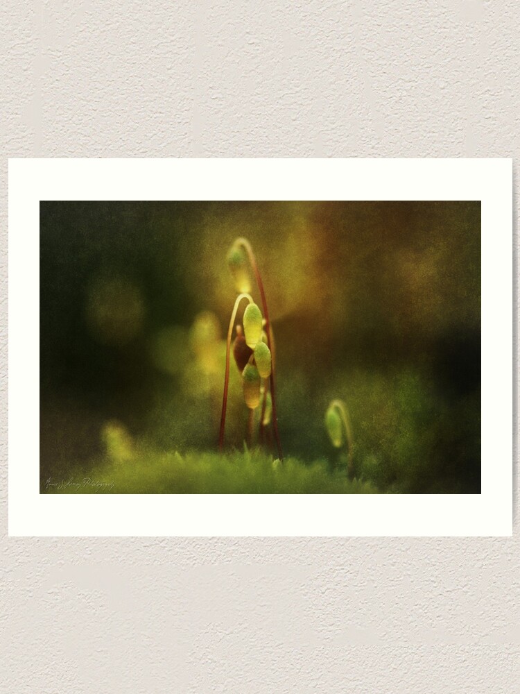 Alternate view of November's Moss Art Print