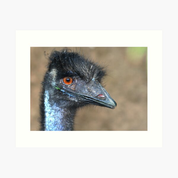 Item preview, Emu designed and sold by Joanne Emery.