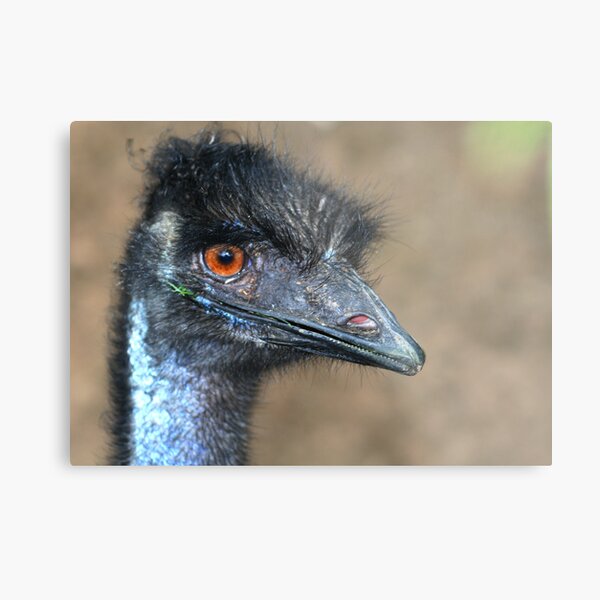 Item preview, Emu designed and sold by Joanne Emery.