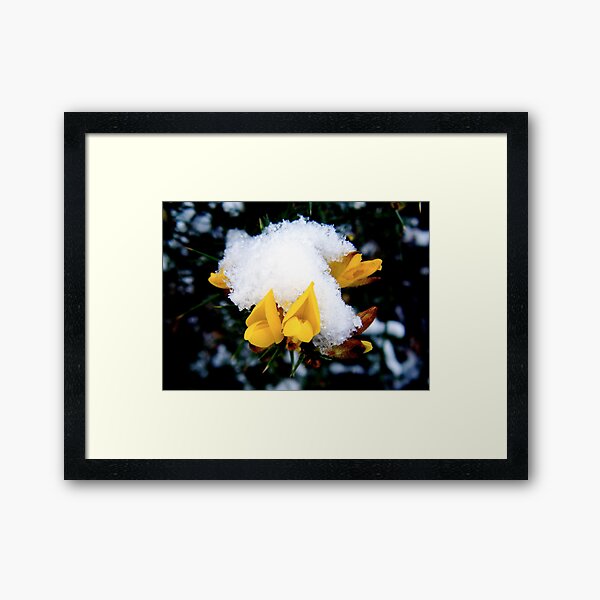 Self-Care for Snow-Days Framed Art Print