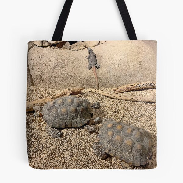 Item preview, Monterey Bay Study 7  designed and sold by Robert Meyers-Lussier.