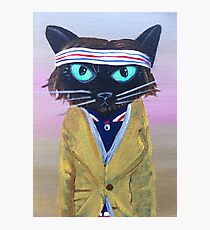 Anderson Tenebaum black cat Photographic Print