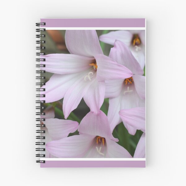 Item preview, Pink Balloon Flowers designed and sold by LizardSpirit.