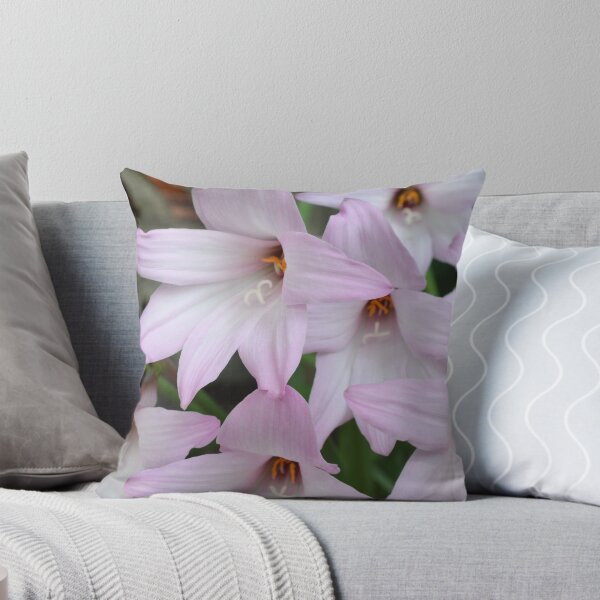 Item preview, Pink Balloon Flowers designed and sold by LizardSpirit.