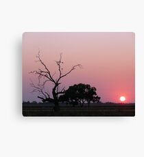 Riverina Sunrise - Wogollow Farm, Benerembah Canvas Print