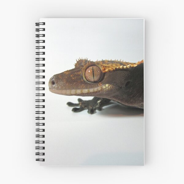 Item preview, Dark Crested Gecko designed and sold by LizardSpirit.