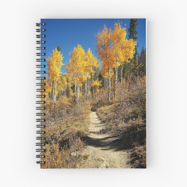 Item preview, A Path Through the Aspens designed and sold by Rachel Jeffrey.