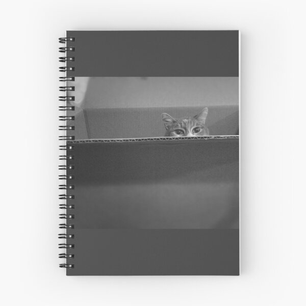 Item preview, Cat in a Box designed and sold by Rachel Jeffrey.