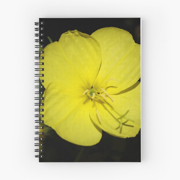 Item preview, Evening Primrose designed and sold by Jo Nijenhuis.