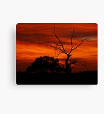 Red Dawn - Wogollow Farm, Benerembah Canvas Print