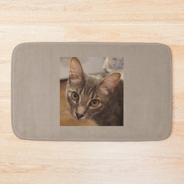 Item preview, Ozzy the kitten designed and sold by Martin Boisvert.