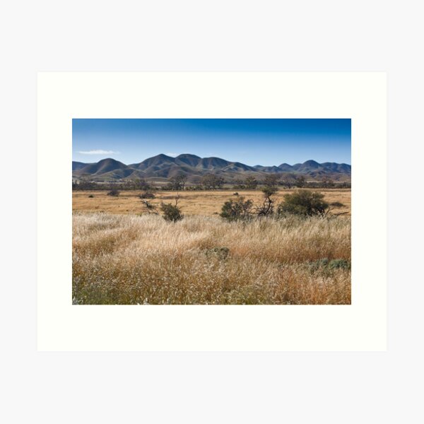 Item preview, Southern Flinders Ranges designed and sold by Michael Selge.