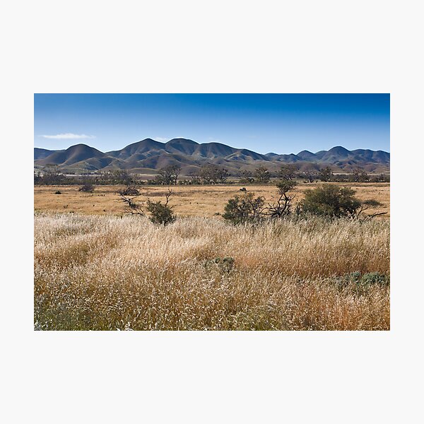 Item preview, Southern Flinders Ranges designed and sold by Michael Selge.