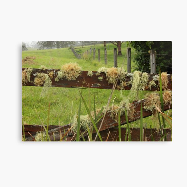 Item preview, Ooh... I'm Lichen That! designed and sold by Carol James.