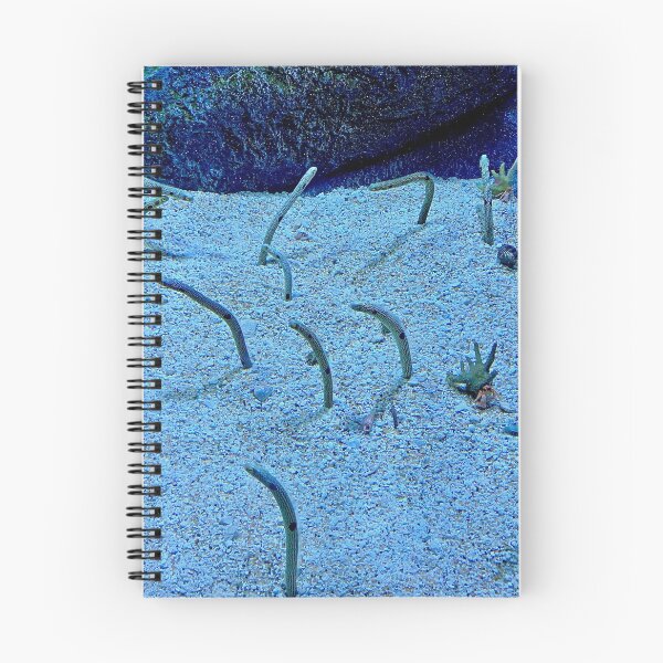 Item preview, Monterey Bay Study 8  designed and sold by Robert Meyers-Lussier.
