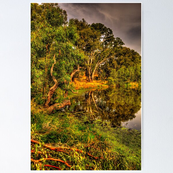 Item preview, Reflecting Time - Wonga Wetlands, Albury , NSW Australia - The HDR Experience designed and sold by Salieri1627.