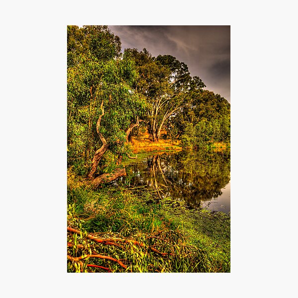 Item preview, Reflecting Time - Wonga Wetlands, Albury , NSW Australia - The HDR Experience designed and sold by Salieri1627.