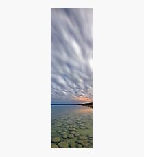 Lake Clifton Thrombolites Photographic Print