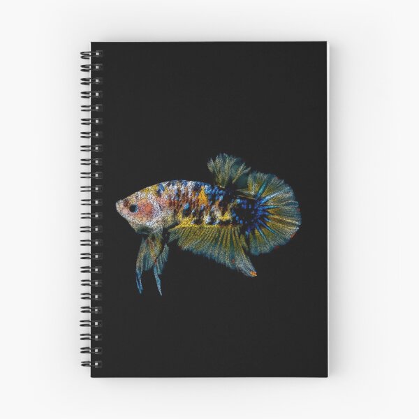 Item preview, Female Betta Fish designed and sold by Heathermarie321.