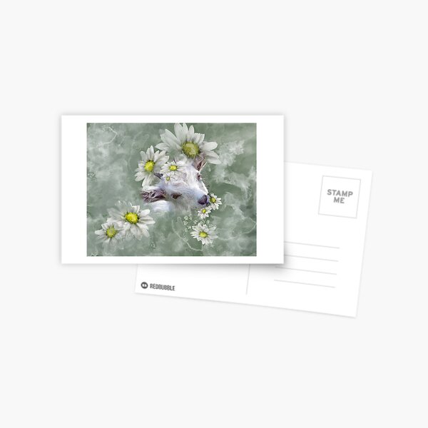 Don't Eat the Daisies Baby Goat Postcard