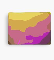 Colours Canvas Print