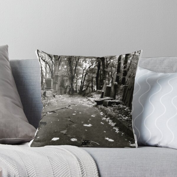 Item preview, The New Jewish Cemetery in Kraków. Tribute to Chris Schwarz photographer and founder , Galicia Jewish Museum , Kraków. designed and sold by © Andrzej Goszcz,M.D. Ph.D.