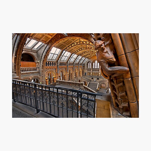 Item preview, Natural history museum London designed and sold by Shaun Whiteman.