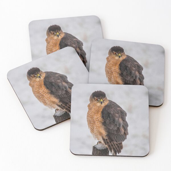Item preview, Fluffy Cooper's Hawk In Snow designed and sold by Lois  Bryan.