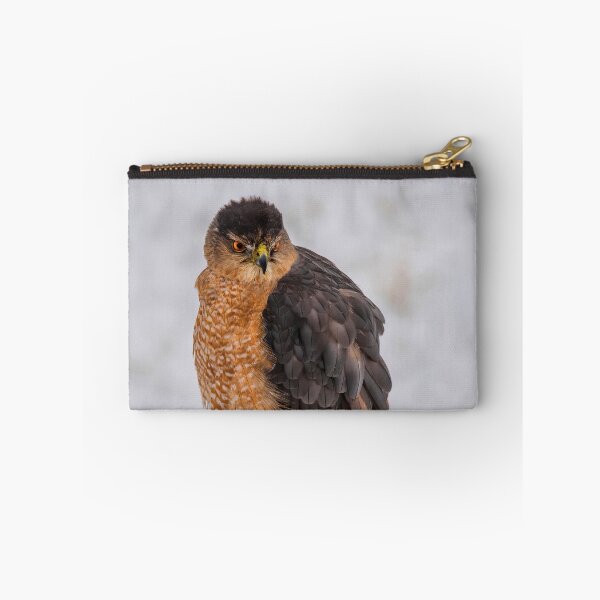 Item preview, Fluffy Cooper's Hawk In Snow designed and sold by Lois  Bryan.