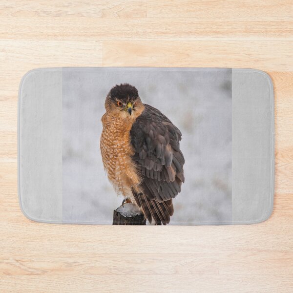Item preview, Fluffy Cooper's Hawk In Snow designed and sold by Lois  Bryan.