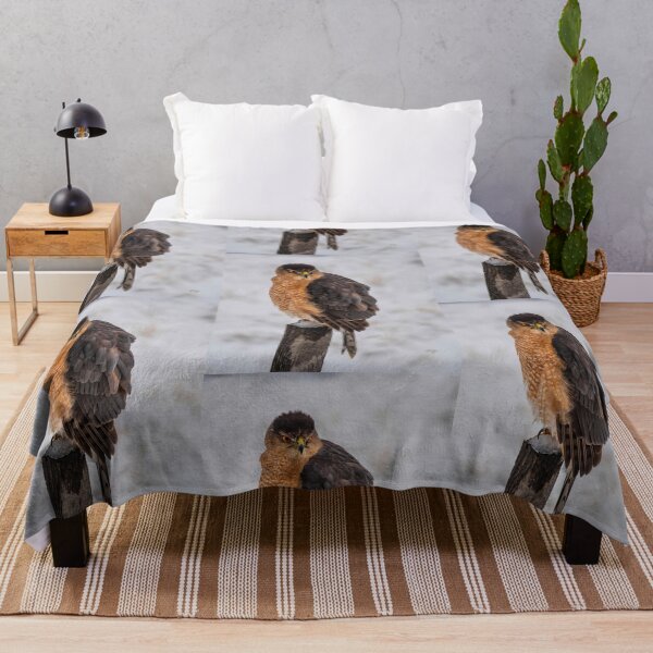 Item preview, Fluffy Cooper's Hawk In Snow designed and sold by Lois Bryan.