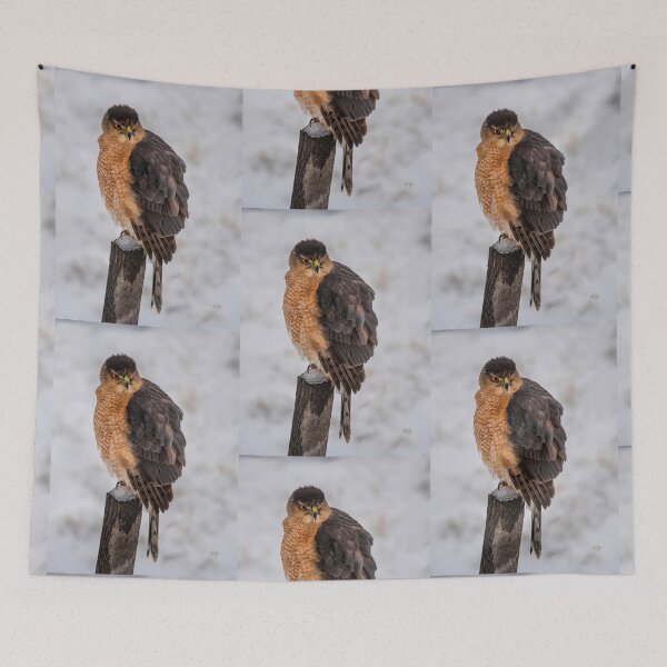 Item preview, Fluffy Cooper's Hawk In Snow designed and sold by Lois  Bryan.