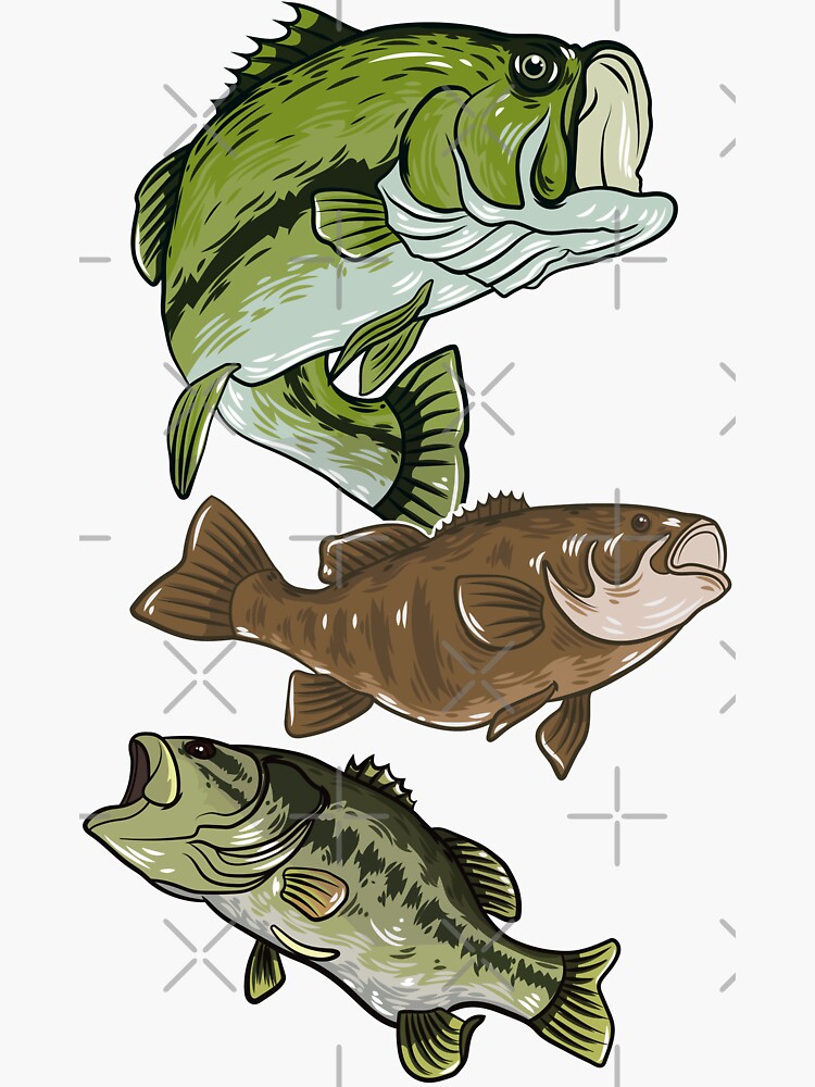 Bass Fishing Sticker for Sale by William Lee