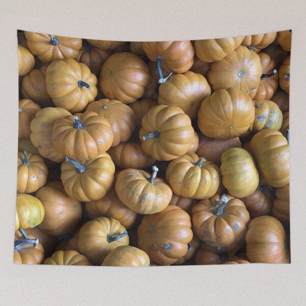 Item preview, Baby pumpkins designed and sold by Raymond Gilford.