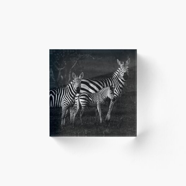 Artikelvorschau, Zebra auf verbranntem Boden entworfen und verkauft von Glynn  Lavender.