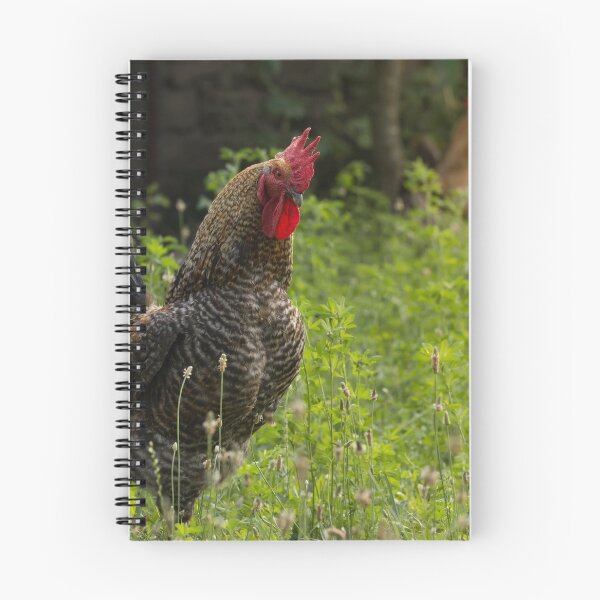 Item preview, Rooster in the garden designed and sold by Olimpia Negura.