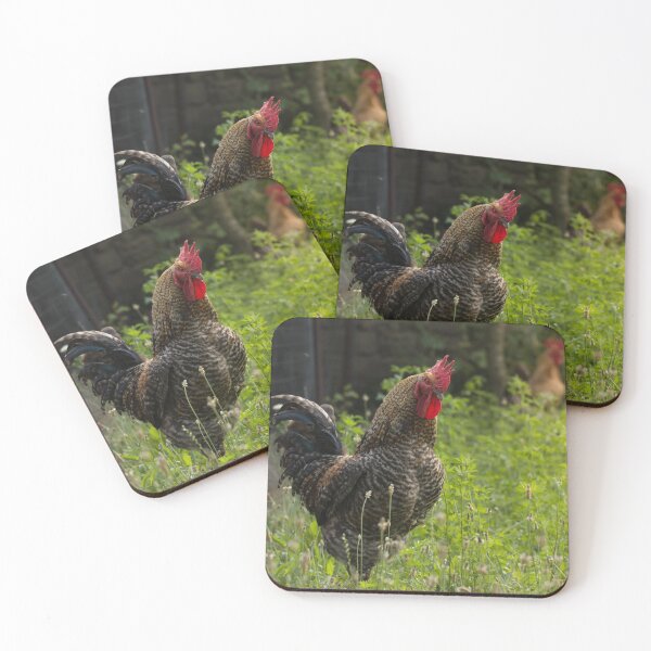 Item preview, Rooster in the garden designed and sold by Olimpia Negura.