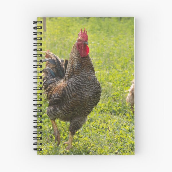 Item preview, Rooster in the garden designed and sold by Olimpia Negura.