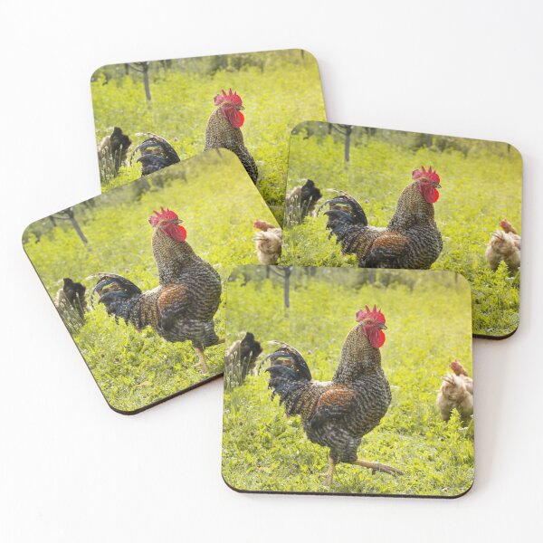 Item preview, Rooster in the garden designed and sold by Olimpia Negura.
