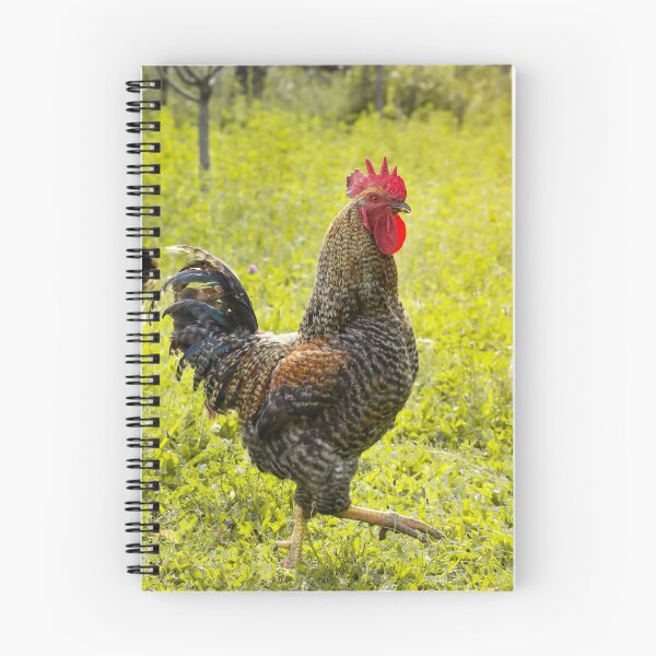 Item preview, Rooster in the garden designed and sold by Olimpia Negura.